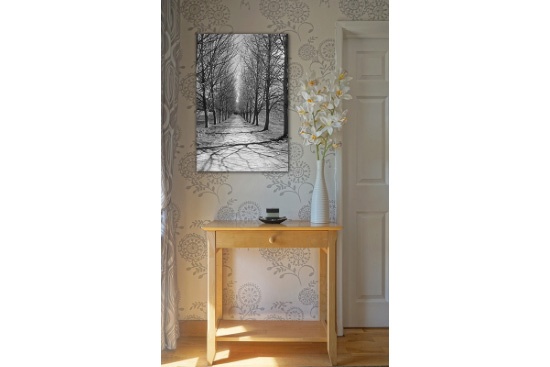 Lime Tree Avenue at Castleward canvas print in situe in a room