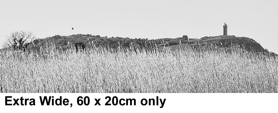 Extra wide canvas print 60 x 20cm only